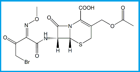 CEFOTAXIME BROMOACETYL ANALOG